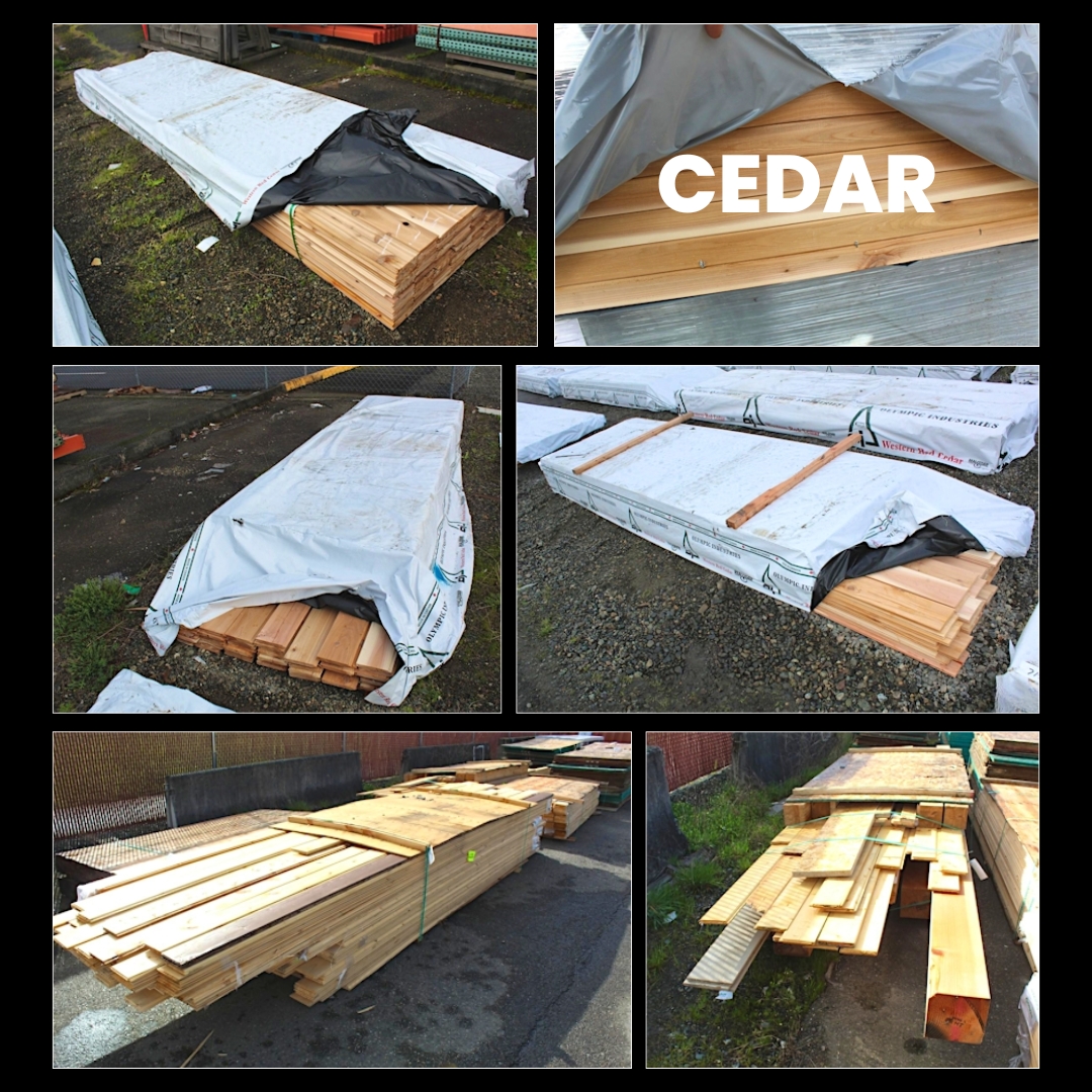 CEDAR (4)